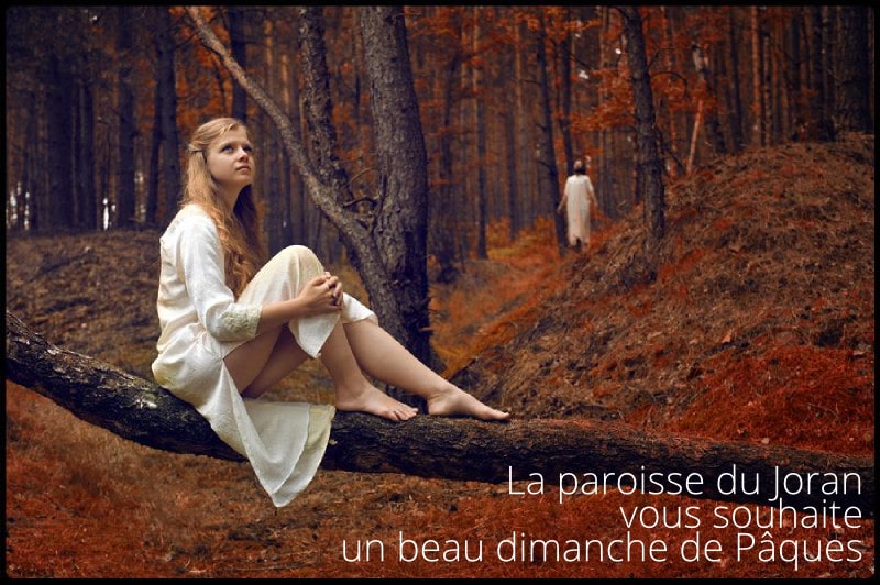 Photo Łukasz Jankowski-Wojtczak CC by-sa